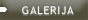 GALERIJA